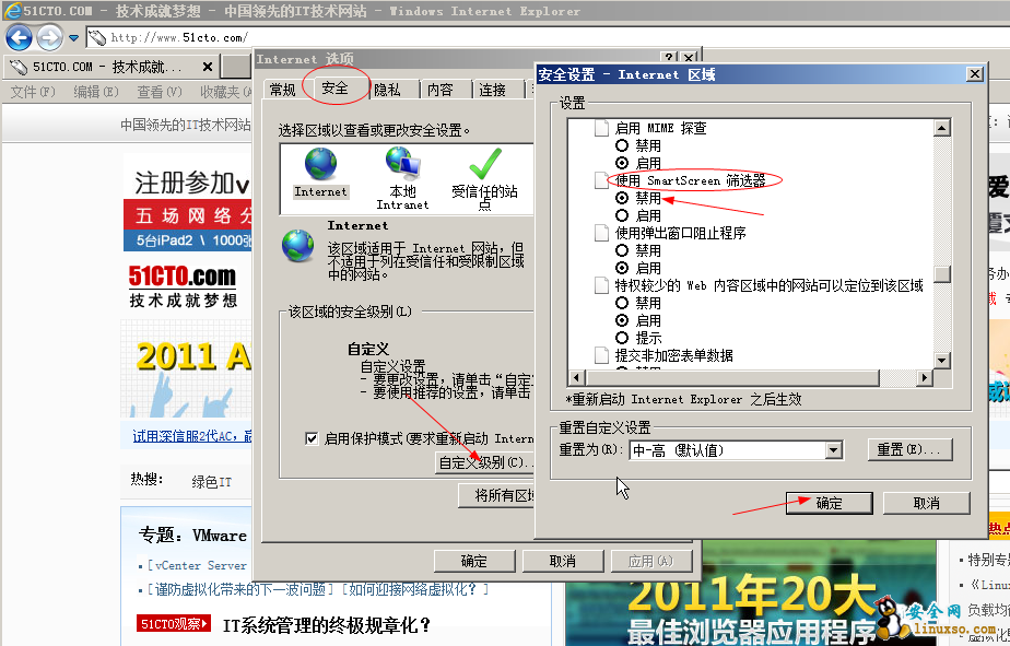 Internet 安全选项