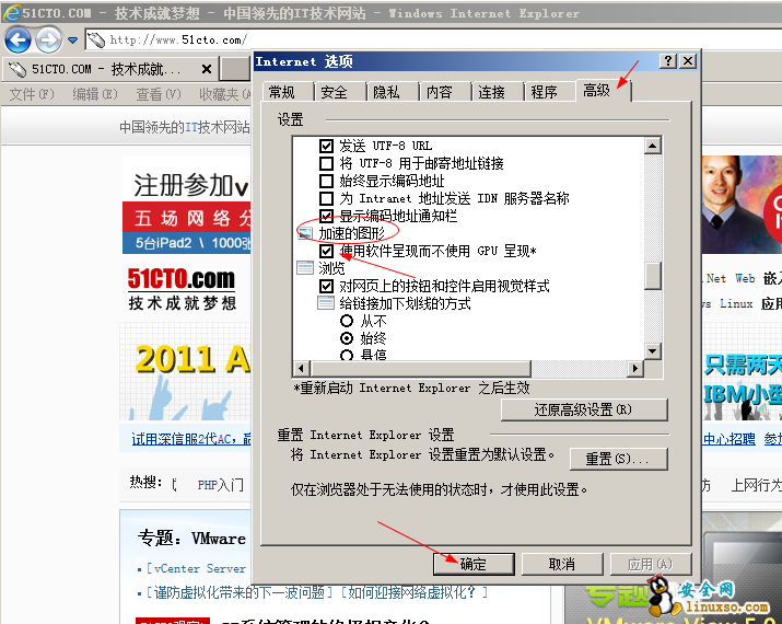 Internet高级 选项